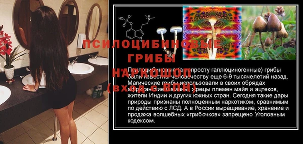хмурый Армянск