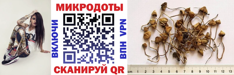 МЕГА ссылки  Таштагол  Галлюциногенные грибы прущие грибы 